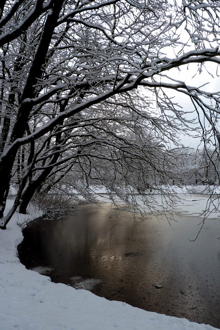 Am Maschpark