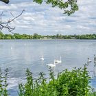 am Maschsee entlang III - Hannover