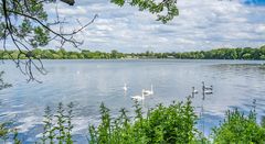 am Maschsee entlang III - Hannover