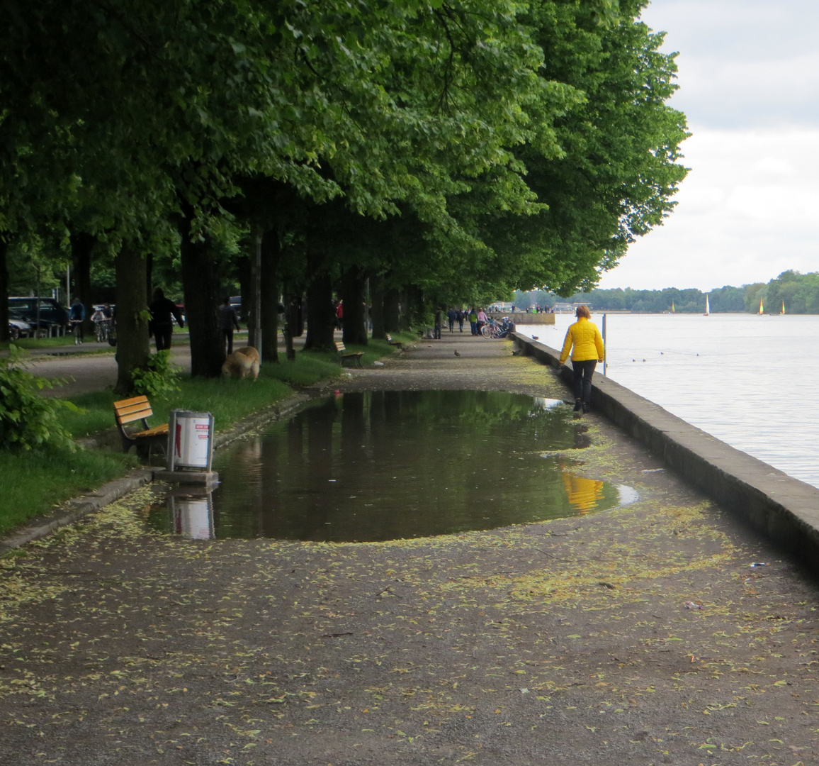 am Maschsee hatte es geregnet