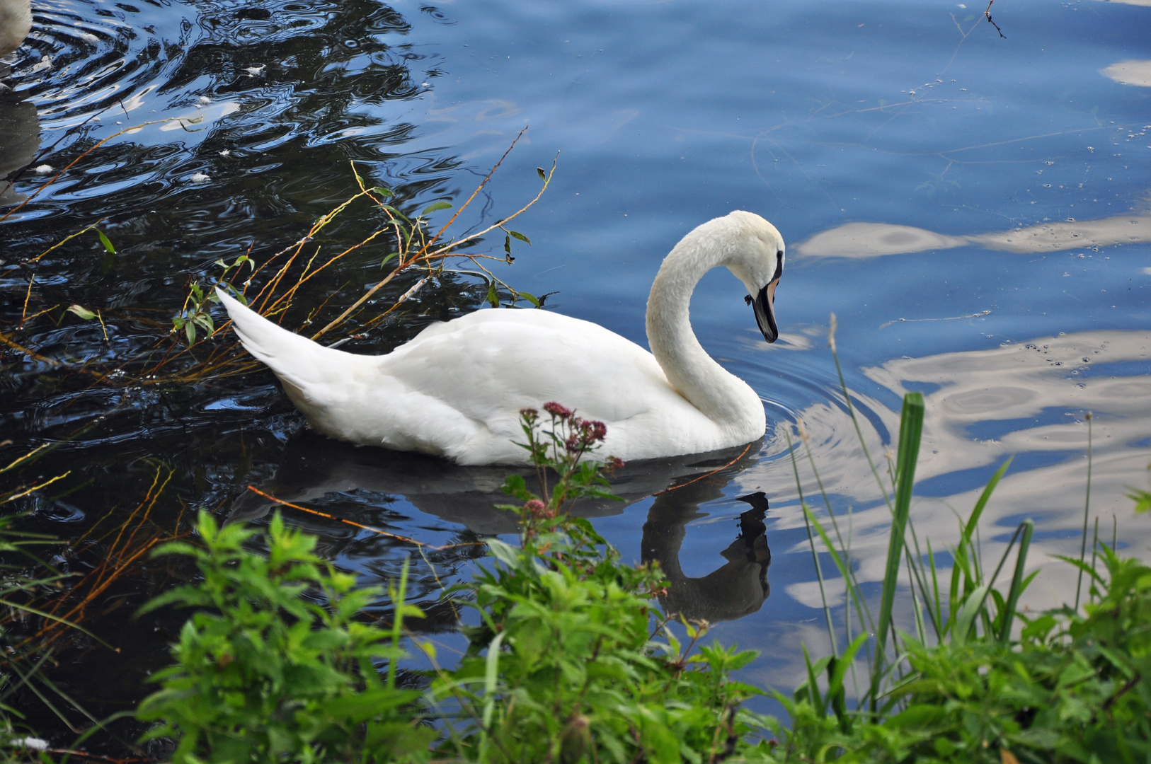 Am Maschsee in Hannover