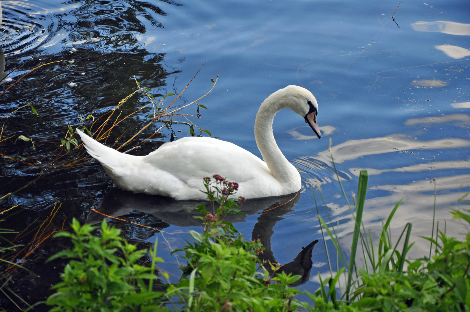 Am Maschsee in Hannover