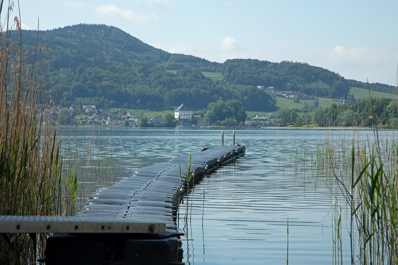 am Mattsee ....