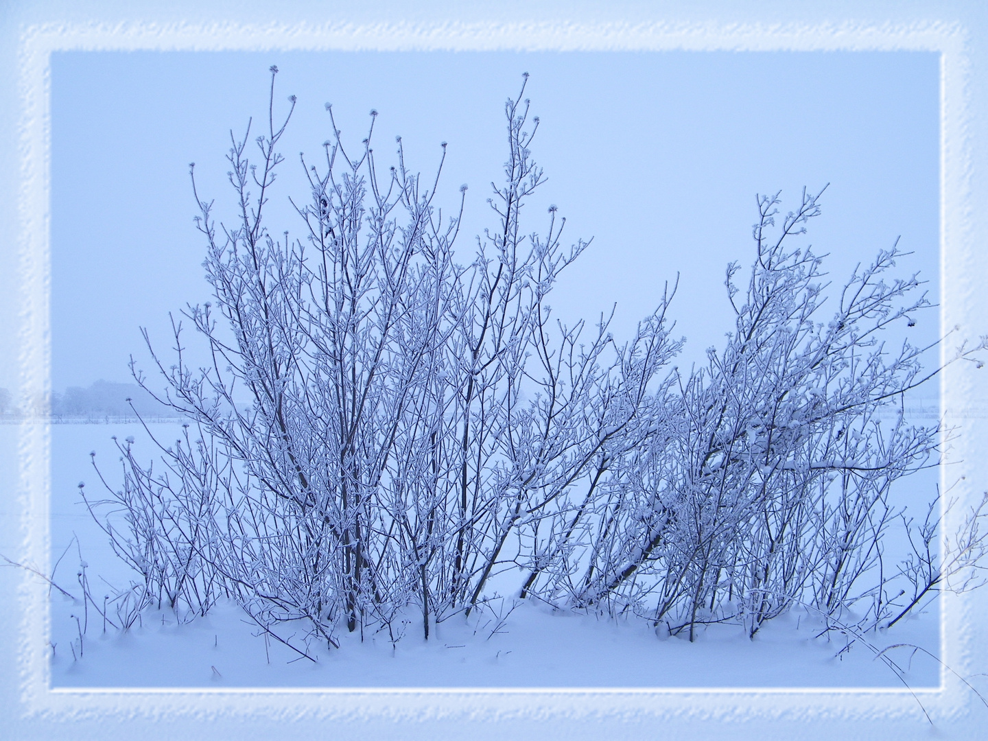 Am Mauerweg im Winter