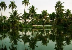 Am Meenachil River. Kottayam, Kerala