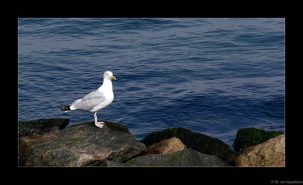 am Meer...