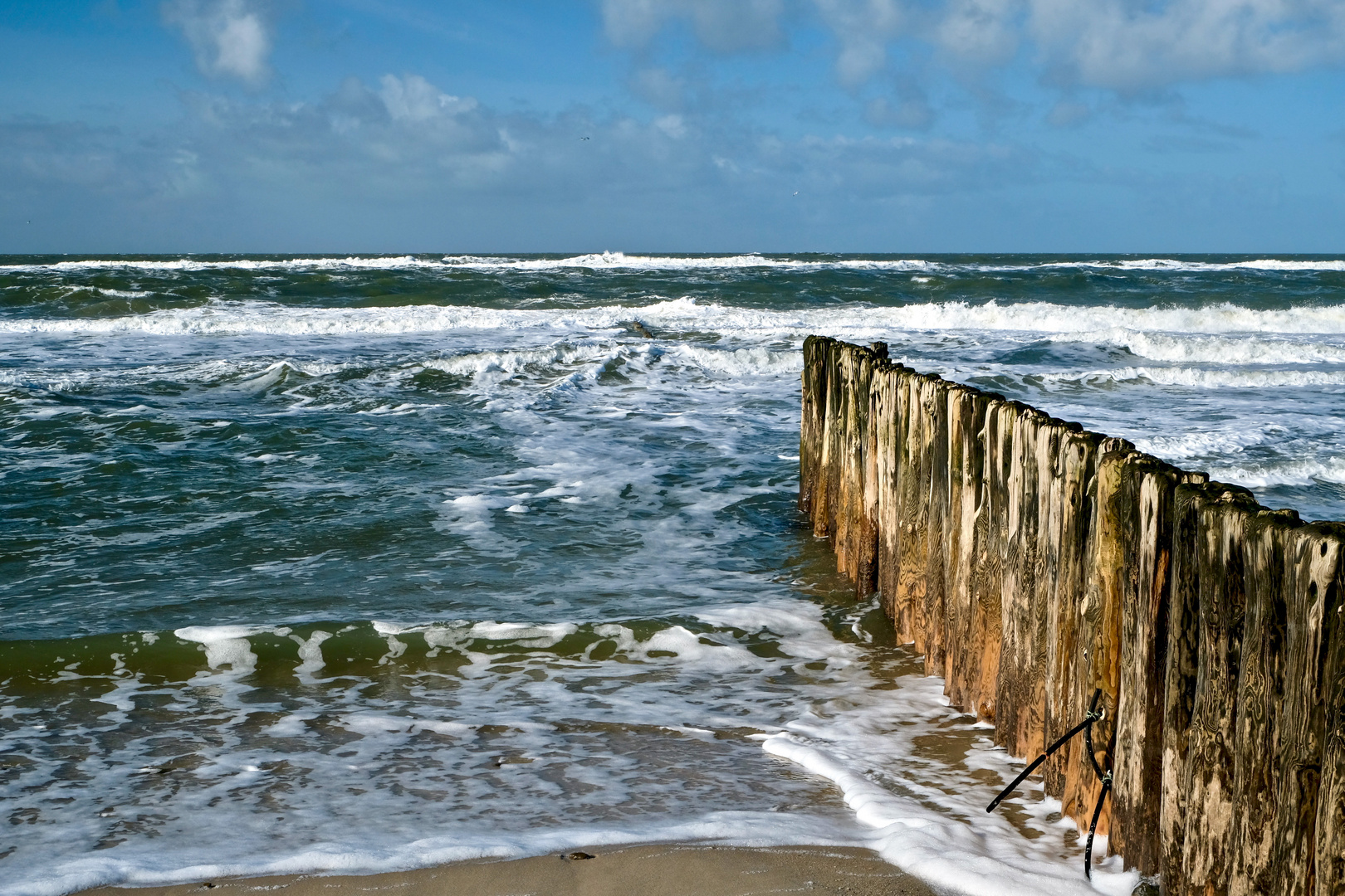 Am Meer 