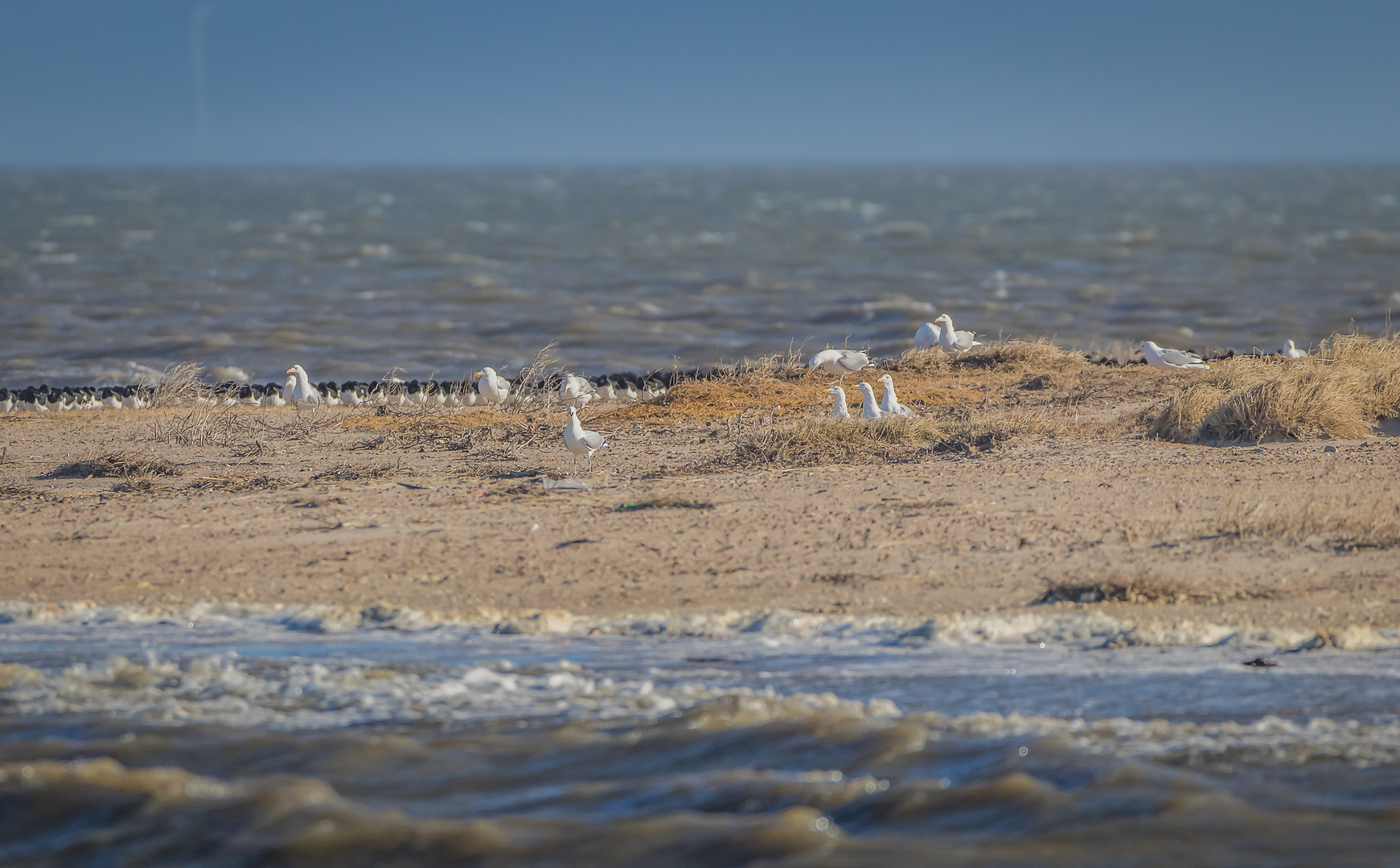 Am Meer