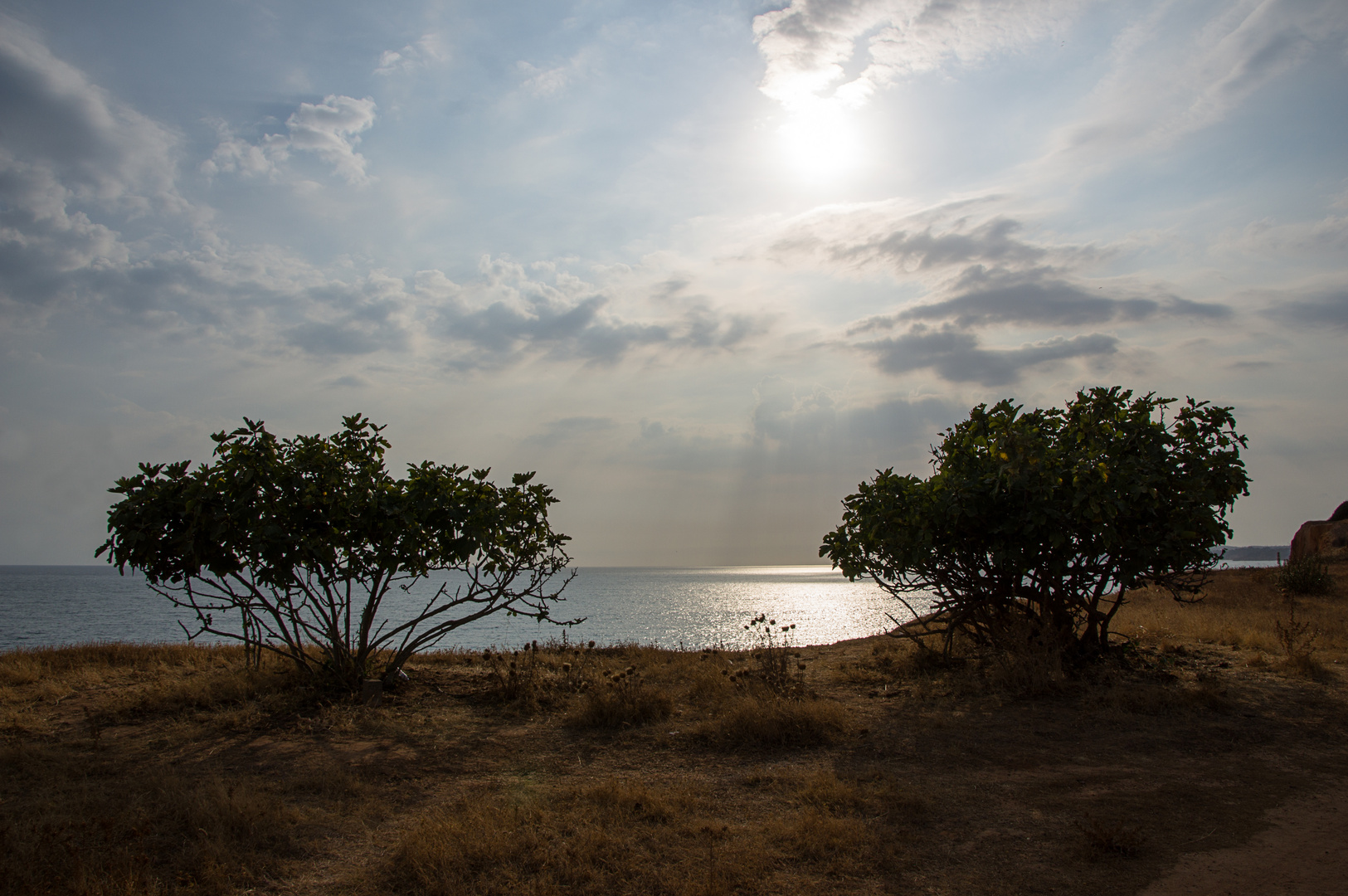 Am Meer