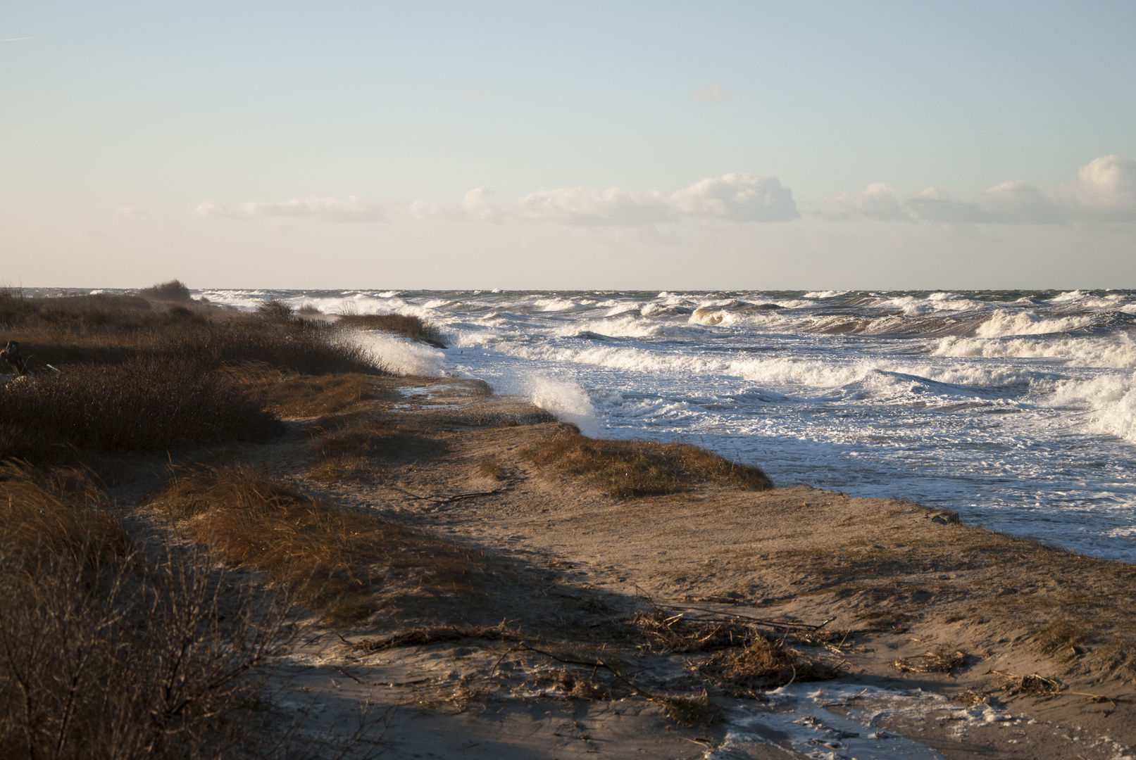 Am Meer