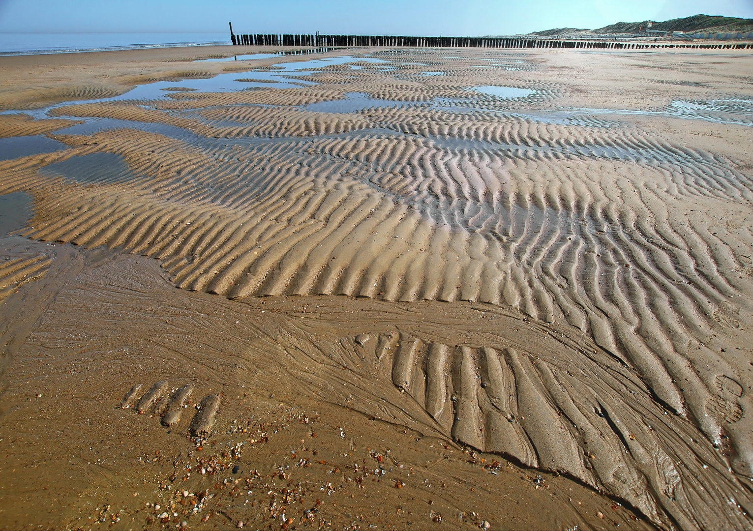 Am Meer