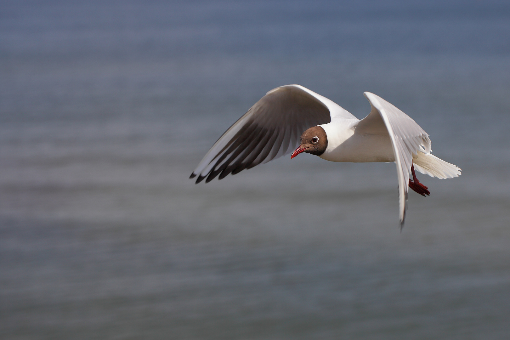 Am Meer