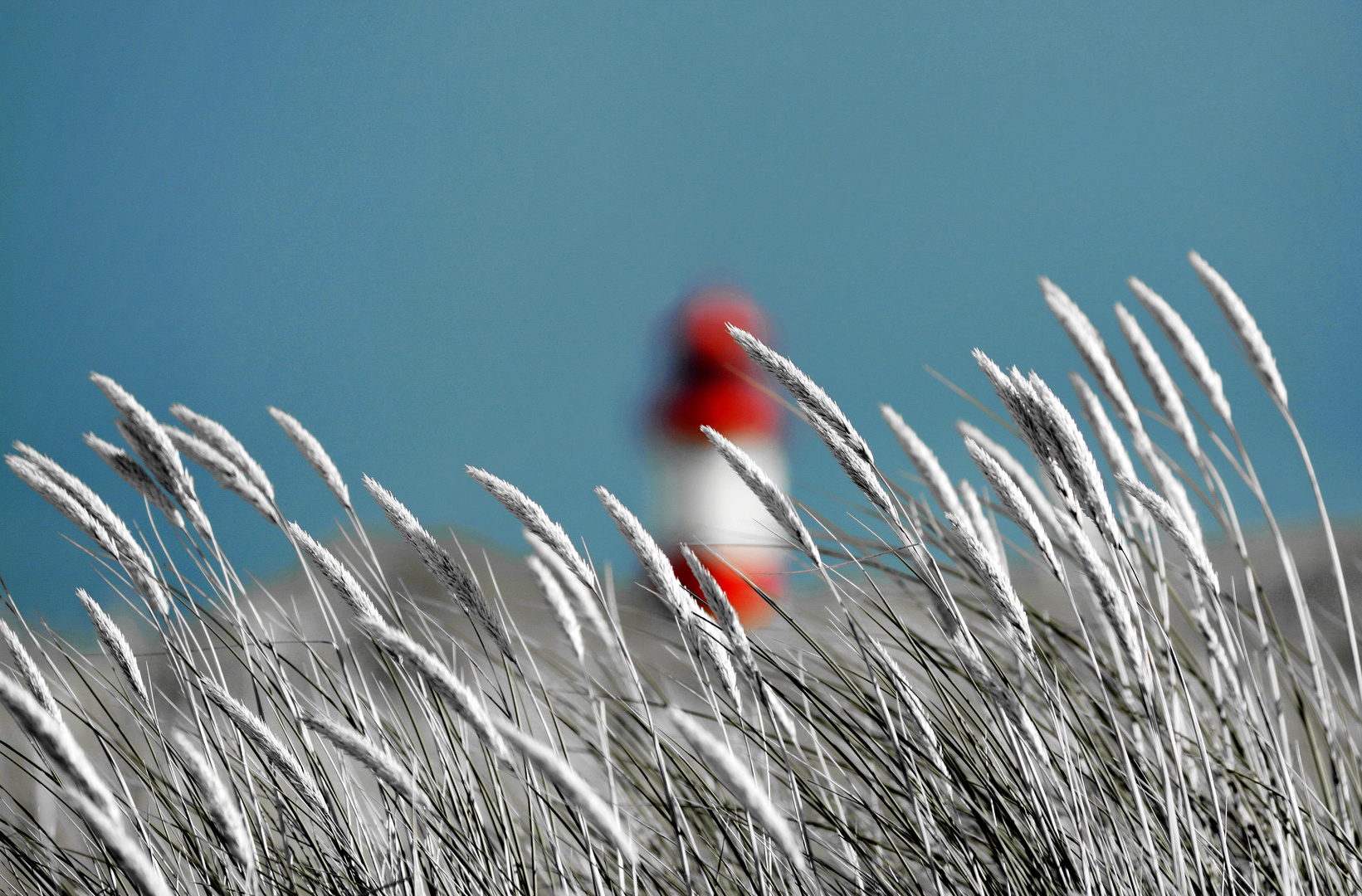 Am Meer