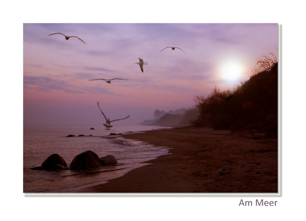 " Am Meer  "