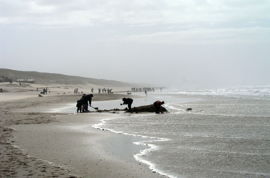 Am Meer