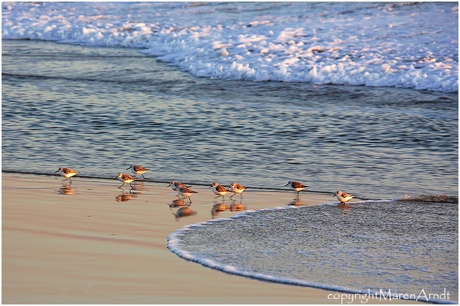 Am Meer