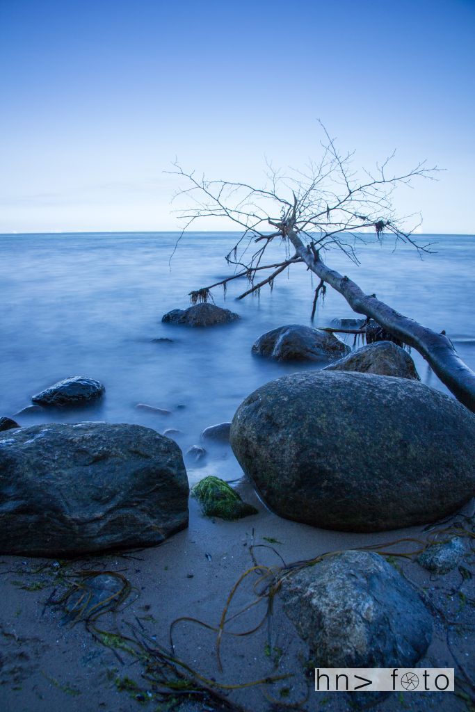 Am Meer - In's Meer