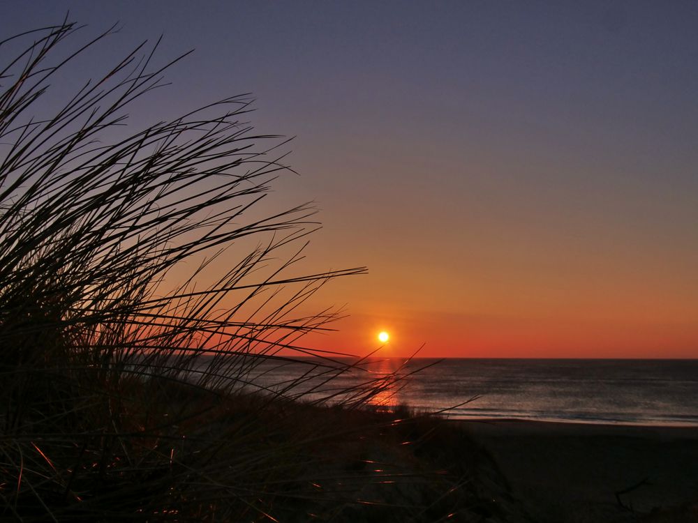 Am Meer ist es am schönsten