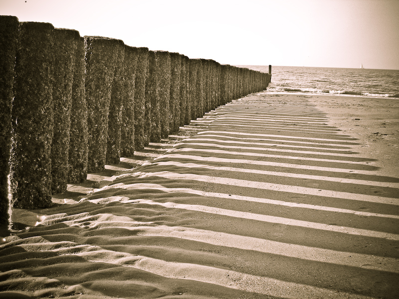 Am Meer (Niederlande, Cadzand)