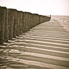 Am Meer (Niederlande, Cadzand)