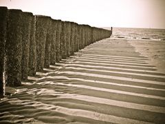 Am Meer (Niederlande, Cadzand)