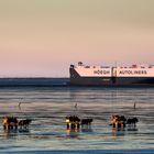 Am Meer - Nordsee (Cuxhaven)