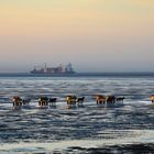 Am Meer - Nordsee (Cuxhaven)