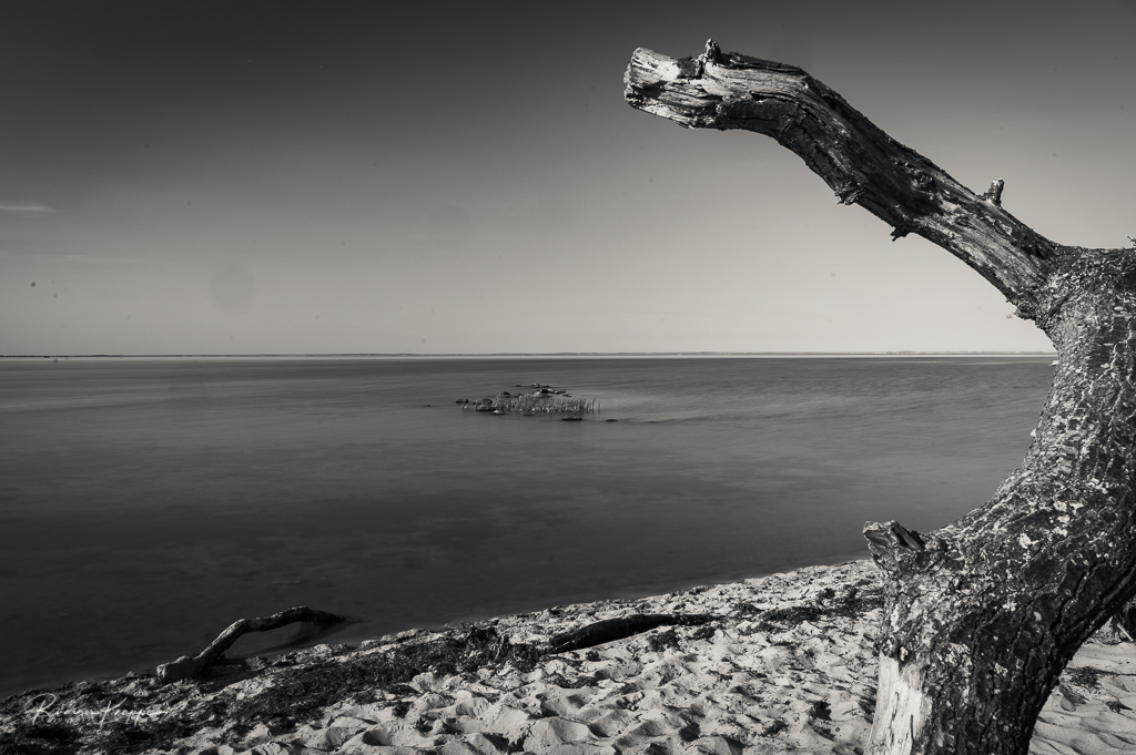 Am Meer Ostsee 2 - 2020