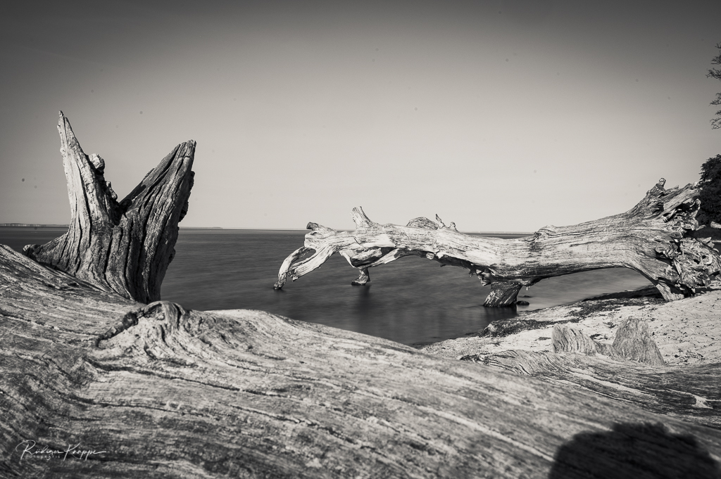 Am Meer Ostsee 4 - 2020