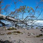 Am Meer - Windstärke 5!