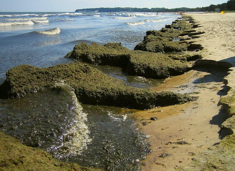 am Meeresstrand