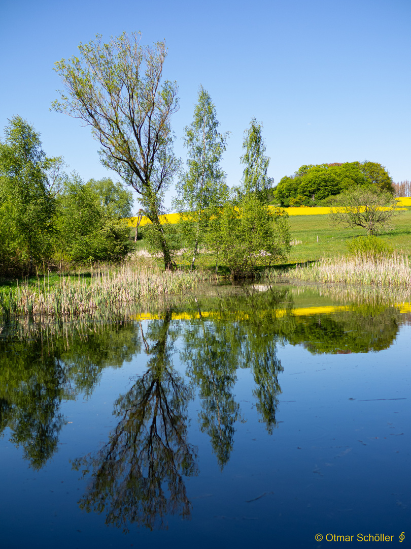 Am Meerpfuhlweiher