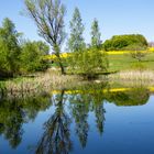 Am Meerpfuhlweiher