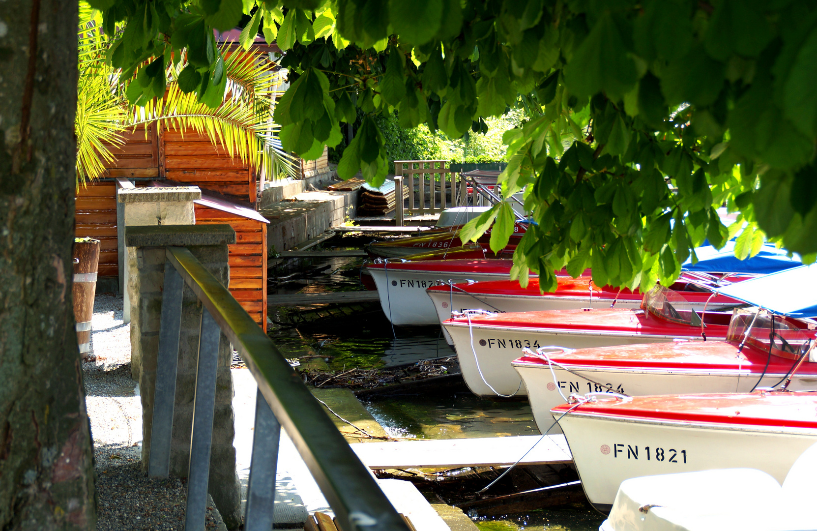 Am Meersburger Hafen...