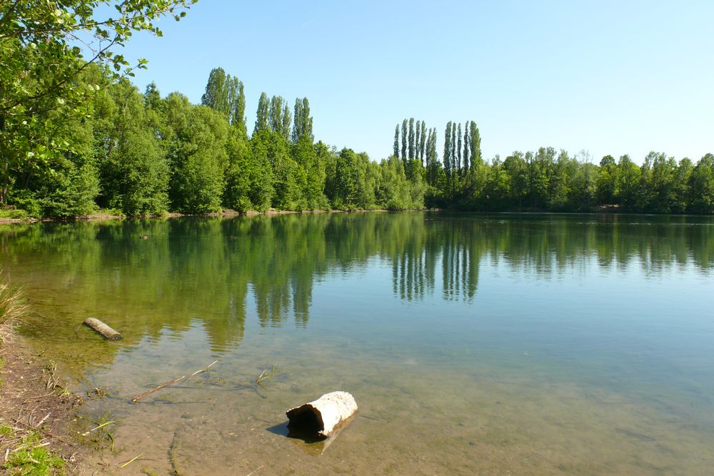 Am Menzelsee auf der Grenze zwischen Düsseldorf und Hilden