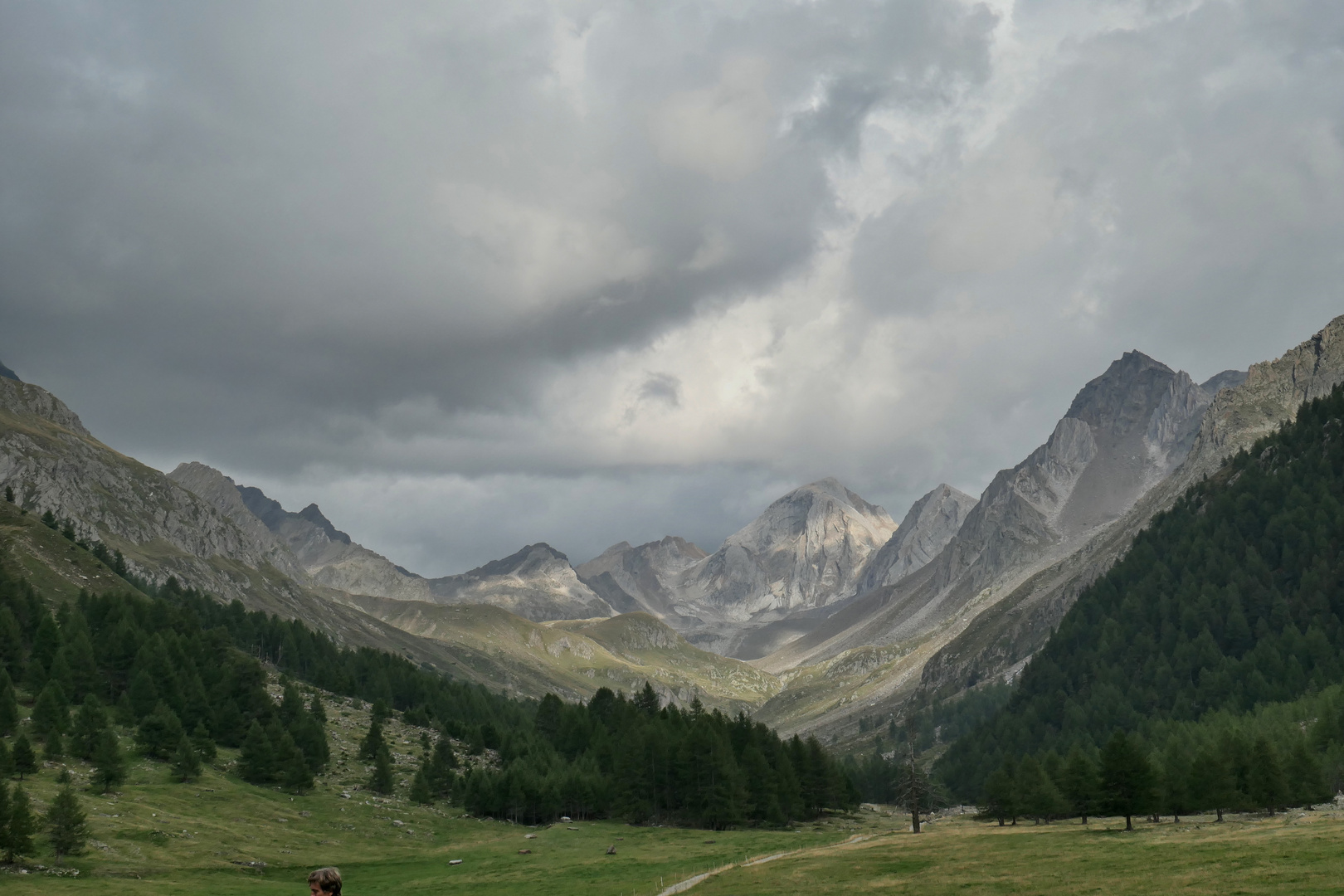 Am Meraner Höhenweg (519,1)