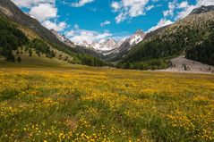 Am Meraner Höhenweg Richtung Eisjöchl