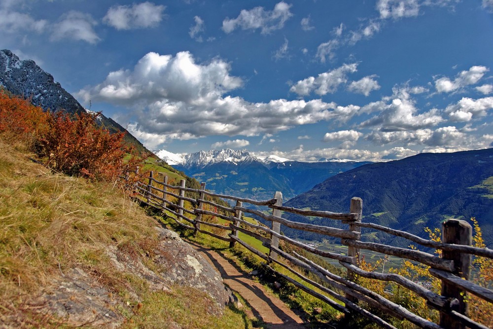 Am Meraner Höhenweg VII.