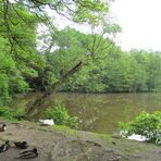  am Meyenburger Wassermühle  - Teich ....