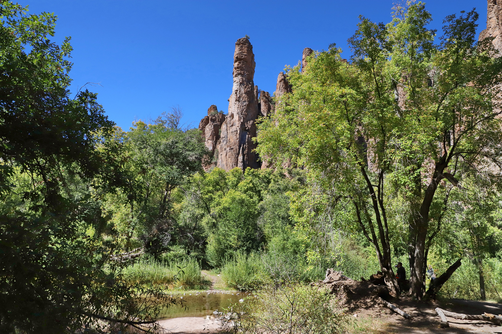 Am Middle Fork des Gila River...