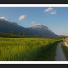 Am Mieminger Plateau/Tirol