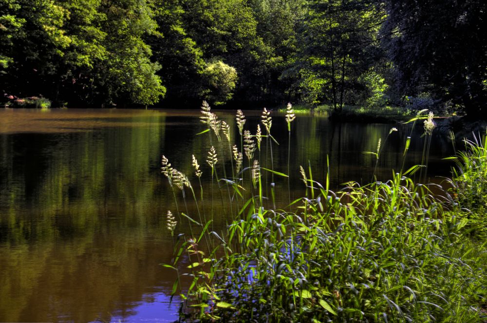 Am Milchborntalweiher