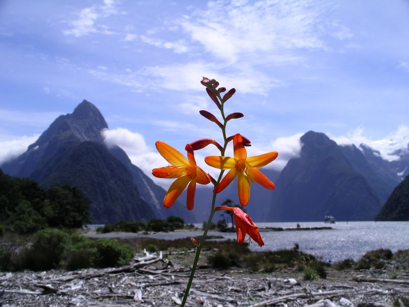 Am Milford Sound