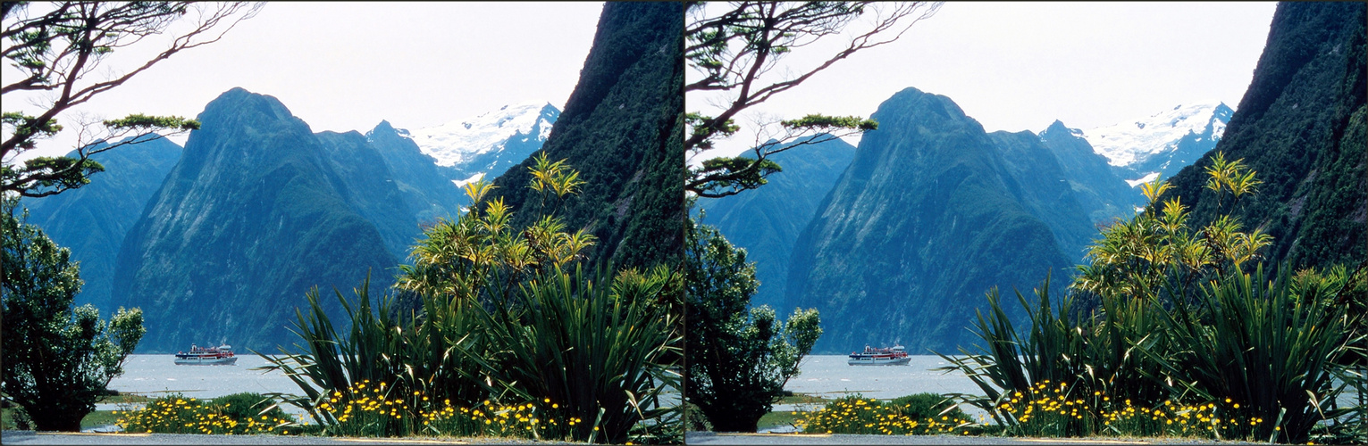 Am Milford Sound 