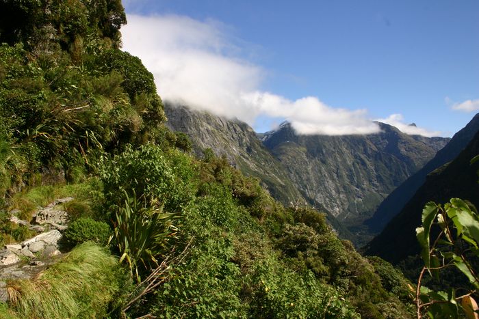 am Milford Track