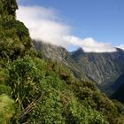 am Milford Track