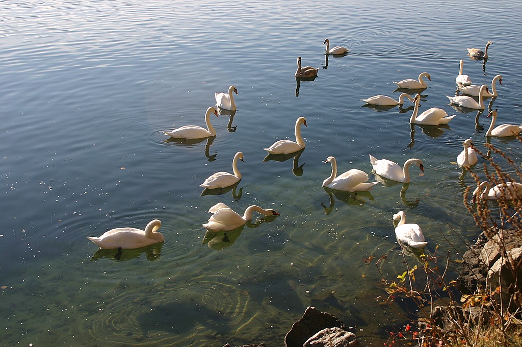 Am Millstättersee