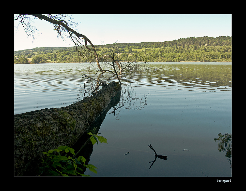 am Mindelsee