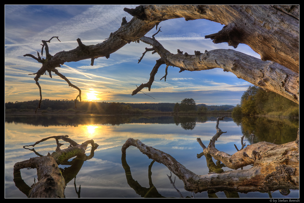 Am Mindelsee II