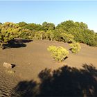 Am Mirador de Llania